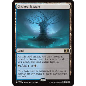 Choked Estuary