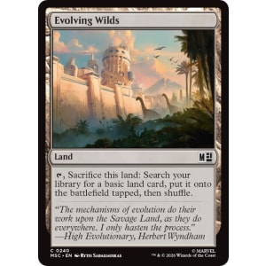 Evolving Wilds