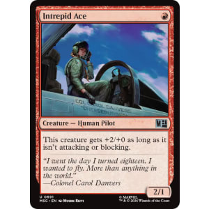 Intrepid Ace