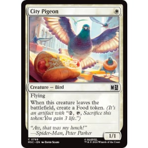 City Pigeon