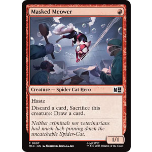 Masked Meower