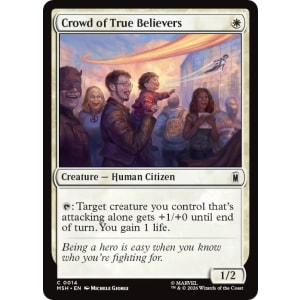 Crowd of True Believers