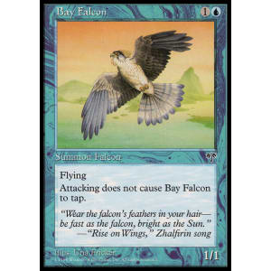 Bay Falcon