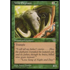 Wild Elephant