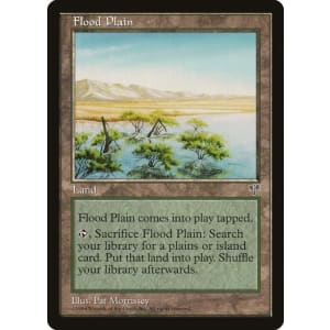 Flood Plain