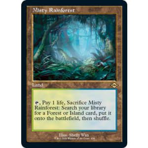 Misty Rainforest