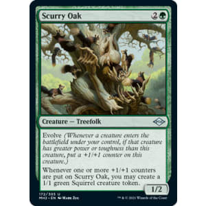 Scurry Oak