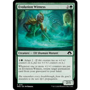 Evolution Witness