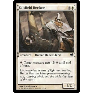 Saltfield Recluse
