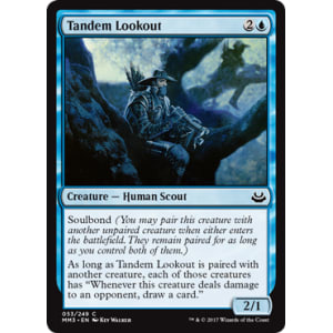 Tandem Lookout