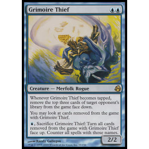 Grimoire Thief