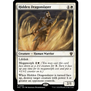 Hidden Dragonslayer