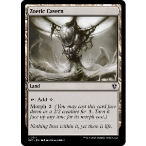 Zoetic Cavern