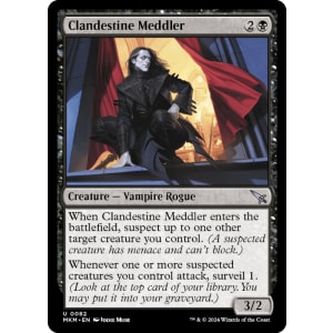 Clandestine Meddler