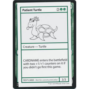 Patient Turtle (No PW Symbol)