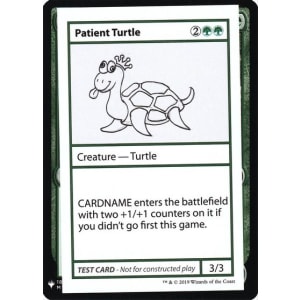 Patient Turtle