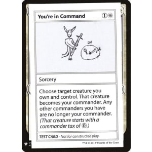 You're In Command