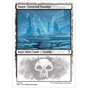 Snow-Covered Swamp