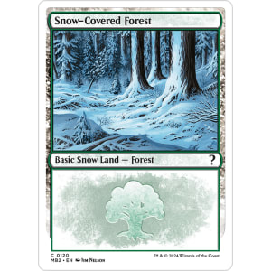 Snow-Covered Forest