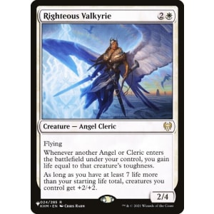 Righteous Valkyrie
