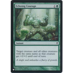 Echoing Courage