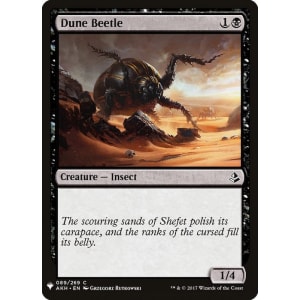 Dune Beetle