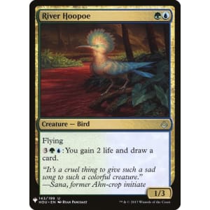 River Hoopoe