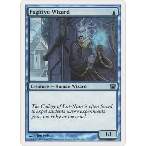 Fugitive Wizard