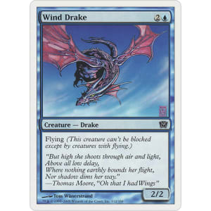 Wind Drake