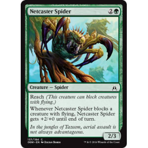 Netcaster Spider