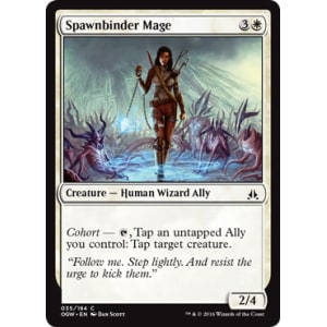 Spawnbinder Mage