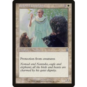 Beloved Chaplain
