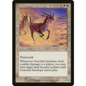 Graceful Antelope