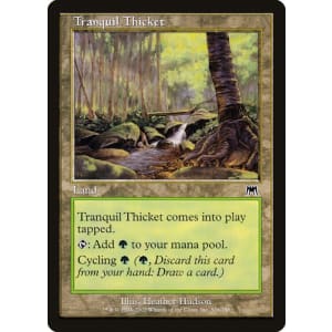 Tranquil Thicket