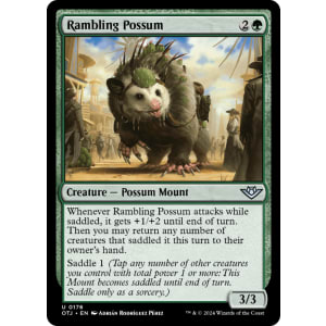 Rambling Possum