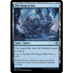 The Surgical Bay