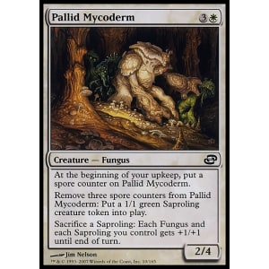 Pallid Mycoderm