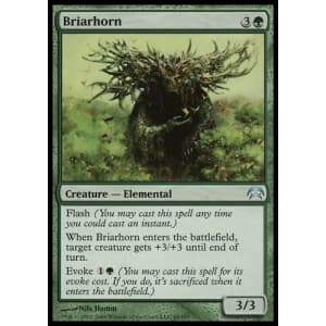 Briarhorn