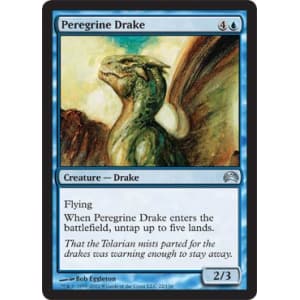 Peregrine Drake