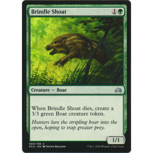 Brindle Shoat