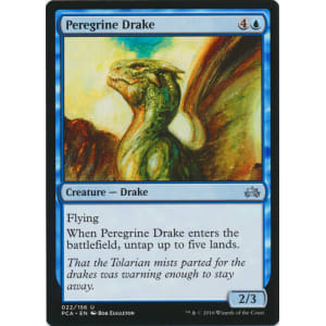 Peregrine Drake