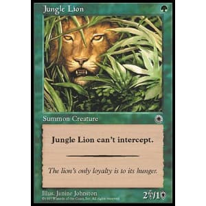 Jungle Lion