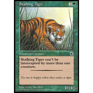 Stalking Tiger