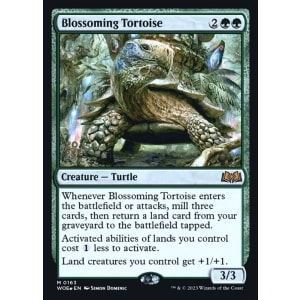 Blossoming Tortoise