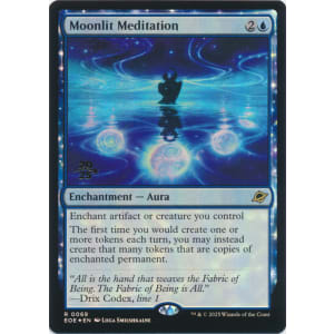 Moonlit Meditation