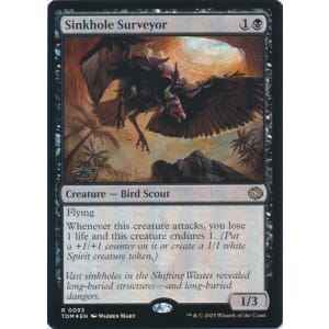 Sinkhole Surveyor