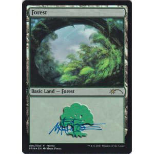 Forest Gift Pack FOIL Signed by Mark Poole