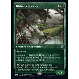 Nishoba Brawler