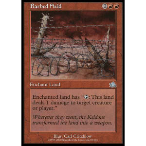 Barbed Field