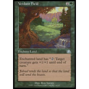 Verdant Field